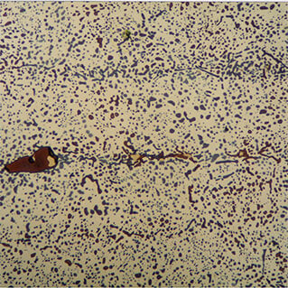 Buehler Presents Tool Steels: Deciphering Metallographahic Etching and Microstructural Analysis